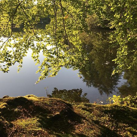 Klosterhotel Walkenried Bagian luar foto