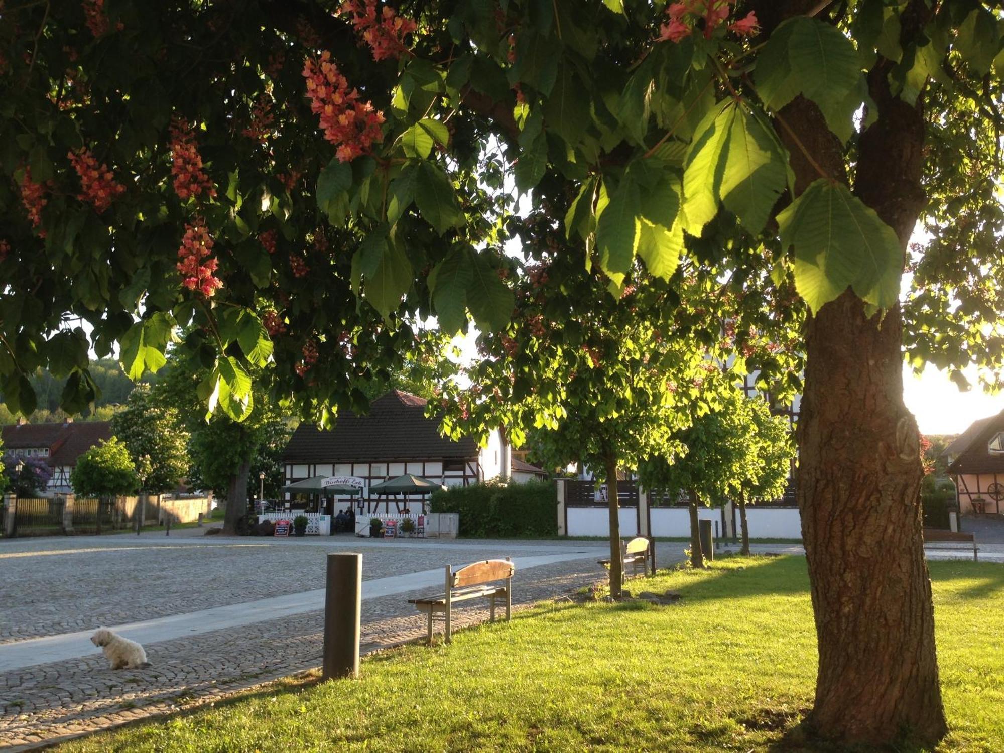 Klosterhotel Walkenried Bagian luar foto