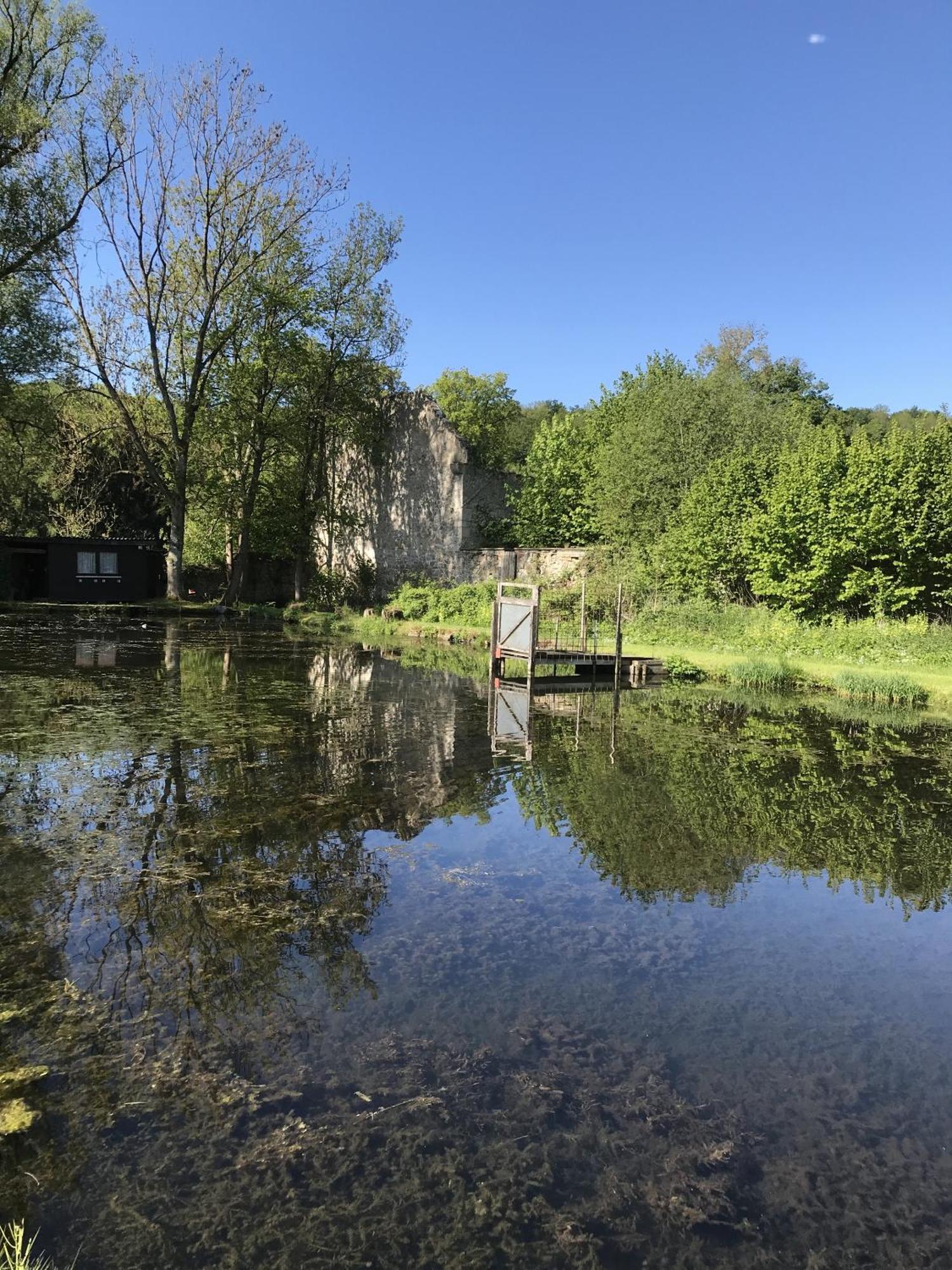 Klosterhotel Walkenried Bagian luar foto